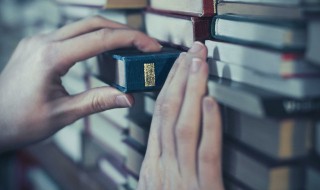 读什么遍而什么自见（读什么什么遍而什么什么见）