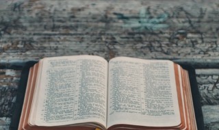 蜗字组词（蜗字组词语）