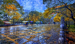 俗语一场秋雨一场寒有科学依据吗 俗语一场秋雨一场寒有科学依据吗蚂蚁庄园