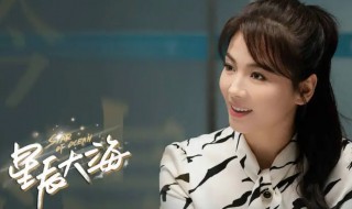 星辰大海哪个台播出（星辰大海哪个台播出大结局）