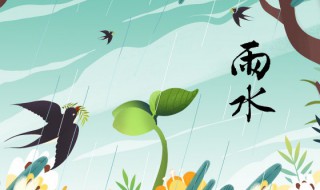 雨水有哪些习俗（雨水有什么风俗）