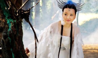 精卫填海的演员 精卫填海的演员简单介绍