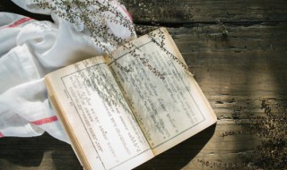 我国历史上有哪些战死沙场的皇帝