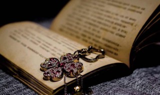 清朝妃子的等级有哪些(清朝妃子相当于几品)