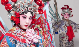 戏曲剧种有哪些（中国五大戏曲剧种有哪些）