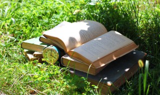 滋可以组什么词 滋可以组什么词语(带拼音