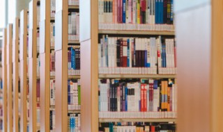 沉去掉三点水读什么(沉去掉三点水读什么字)