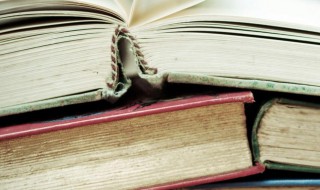 颜真卿的楷书怎么比喻（颜真卿的楷书如何比喻）