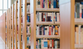 贾文田是贾玲什么人(贾玉田贾玲)