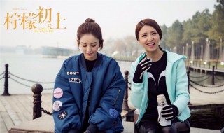 柠檬初上的演员有哪些（电视剧柠檬初上的女主角是谁）