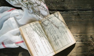 李世民和亲的公主有哪些(李世民和亲的公主有哪些人)