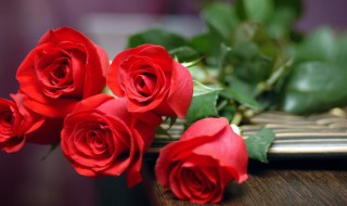 美国的国花是什么 美国的国花是什么花