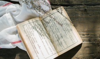 唐朝韩愈一生有哪些成就（唐朝韩愈一生有哪些成就和贡献）