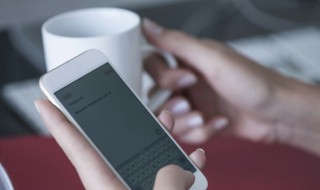 微信文件打不开要下载什么软件（微信文件打不开要下载什么软件dwg）