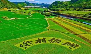 乡村振兴包括哪五个方面的振兴 乡村振兴