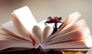 八字忌木是什么意思（什么命忌木）