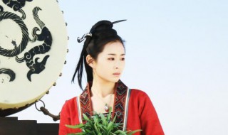 大秦直道的演员有哪些（大秦直道的演员有哪些人）