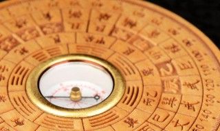 养宠物的风水讲究 养宠物的风水讲究什么