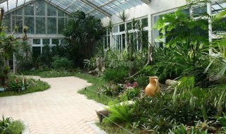 庭院里种树的风水讲究（庭院里种树的风水讲究是什么）