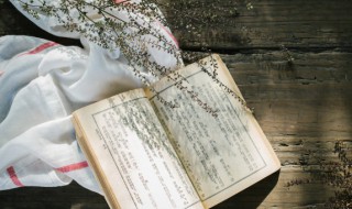 米加山读什么 米加山读什么籼米