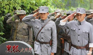 黑狐之风影演员表（电视剧黑狐之风影演员表）