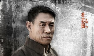 雪鹰演员表（雪鹰演员表剧情介绍）