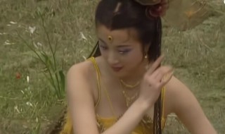 西游记续集演员表 西游记演员表