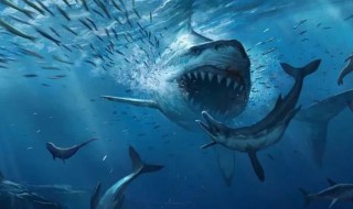 巨齿鲨的演员有哪些 巨齿鲨的演员表和角色介绍