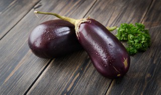 家庭花盆种茄子的方法 阳台种植茄子需多大的花盆?