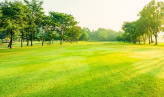 地的拼音怎么写 坡的拼音怎么写