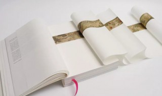 王的组词（王的组词有哪些）