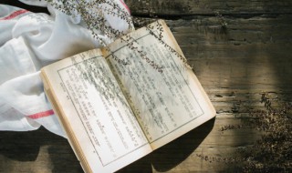 橱组词（楚组词）