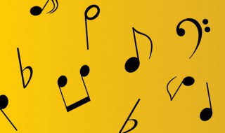 卡不奇诺歌词（卡不其诺歌曲）