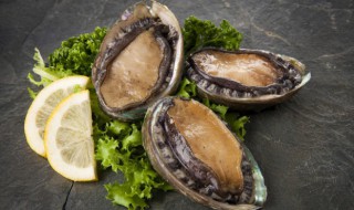 辣炒鲍鱼做法(辣炒鲍鱼做法视频)