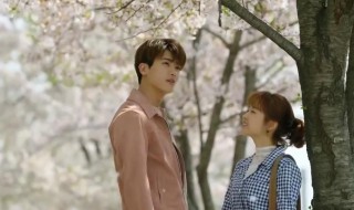 大力女子都奉顺演员表（韩剧大力女子都奉顺演员表）