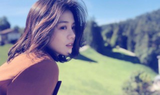 将军在上演员表 将军在上演员表婆婆