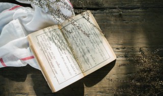 黄鹤楼的思想感情(使至塞上的思想感情)