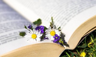 对生活失望的句子 对家庭对生活失望的句子