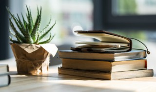 己亥杂诗的思想感情 己亥杂诗的思想感情10字