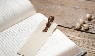 滑铁卢比喻什么意思（滑铁卢是比喻什么）