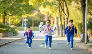 双减政策下的作业布置（双减政策下的作业布置心得体会）