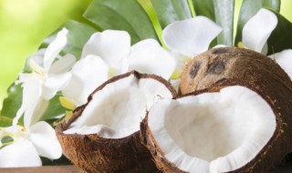 夏威夷椰子的繁殖方法（夏威夷椰子繁殖方法和注意事项）