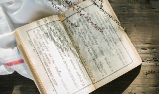 附庸风雅是贬义词吗(附庸风雅的褒义同义词)