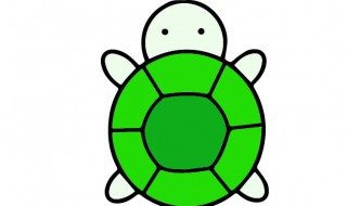 圆奥龟苗饲养方法（圆奥龟苗饲养方法图解）