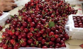 车厘子的储存时间和方法 车厘子保存方法和时间