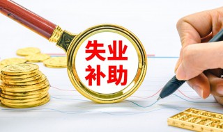 再次失业有没有失业补助金（再次失业可以领取失业补助金吗）