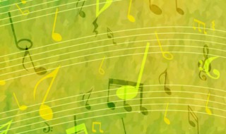 愿得一心人歌词（愿得一心人歌词背后的含义）