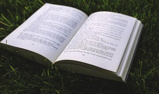 飞来横祸是什么意思 飞来横祸是什么意思解释