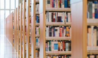 整数的概念是什么（整式的概念是什么）