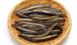 男人平时吃什么壮阳（男人平时吃什么壮阳的食物）